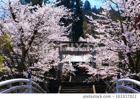 Shorenji Temple in Hida Takayama in spring Shorenji Temple in Hida Takayama in spring 101817821