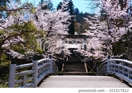 春天在飛騨高山的青蓮寺 101817822