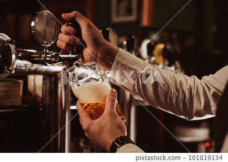 hands of bartender pour into glass draught light foamy beer from tap 101819134