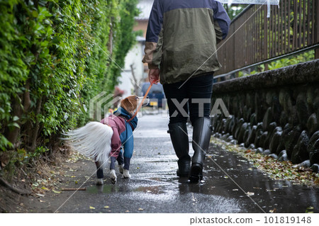 Owner and dog wearing rainwear going for a walk in the rain 101819148