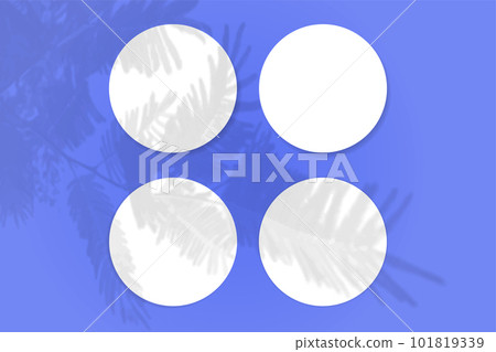 Natural light casts shadows from the tui branch on 4 round sheets of white paper lying on a blue textured background. Mockup Natural light casts shadows from the tui branch on 4 round sheets of white paper lying on a blue textured background. Mockup 101819339