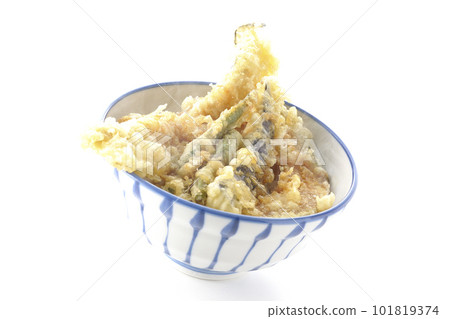 白色背景中帶星鰻、茄子、南瓜和綠豆天婦羅的熱天婦羅碗 白色背景中帶星鰻、茄子、南瓜和綠豆天婦羅的熱天婦羅碗 101819374