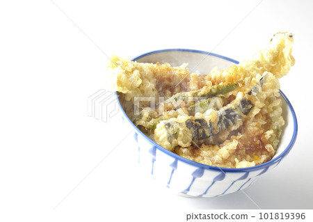 白色背景中帶星鰻、茄子、南瓜和綠豆天婦羅的熱天婦羅碗 白色背景中帶星鰻、茄子、南瓜和綠豆天婦羅的熱天婦羅碗 101819396