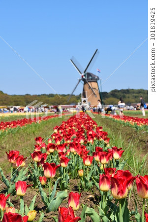 櫻花 Furusato Hiroba 與盛開的鬱金香千葉 101819425