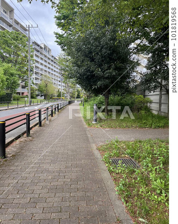 A promenade 101819568