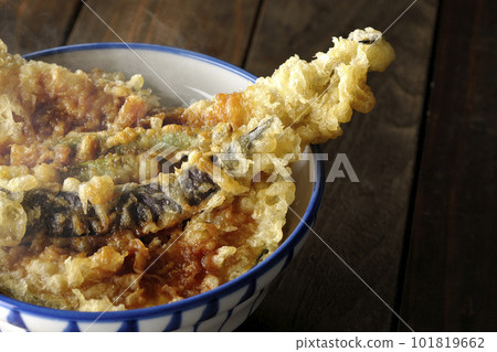 熱騰騰的天婦羅蓋飯蓋上星鰻、茄子、南瓜和綠豆天婦羅 熱騰騰的天婦羅蓋飯蓋上星鰻、茄子、南瓜和綠豆天婦羅 101819662