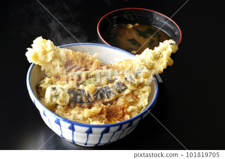 熱騰騰的天婦羅蓋飯蓋上星鰻、茄子、南瓜和綠豆天婦羅和味噌湯 熱騰騰的天婦羅蓋飯蓋上星鰻、茄子、南瓜和綠豆天婦羅和味噌湯 101819705