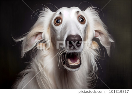 Shocked Irish wolfhound close up portrait. Shocked Irish wolfhound close up portrait. 101819817