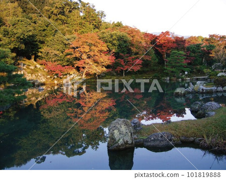 秋葉美麗的天龍寺庭園 秋葉美麗的天龍寺庭園 101819888