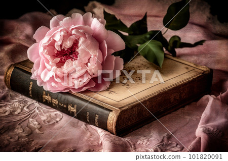 Beautiful peony flowers on top of old books Beautiful peony flowers on top of old books 101820091