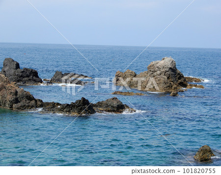 Reef 101820755