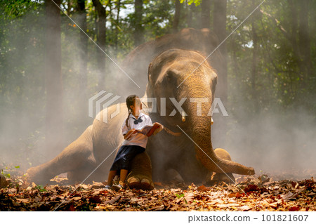 Asian girl hold book and sit on leg of elephant and also look at elephant 101821607