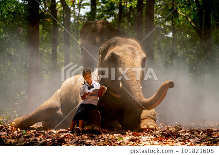 Asian girl read book and sit on leg of elephant with happiness emotion 101821608