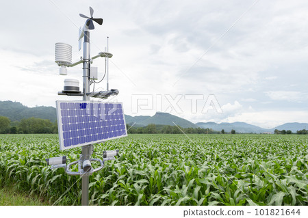 Weather station in corn field, 5G technology with smart farming concept 101821644