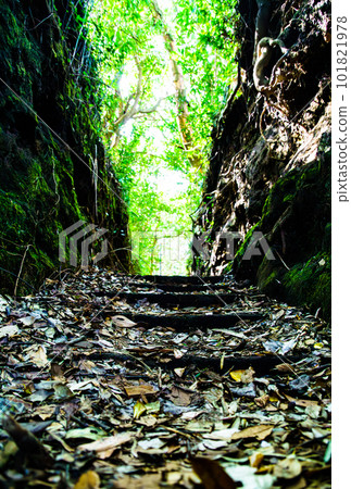 伊豆大島的千通十字路口[東京都大島町的觀光景點] 101821978