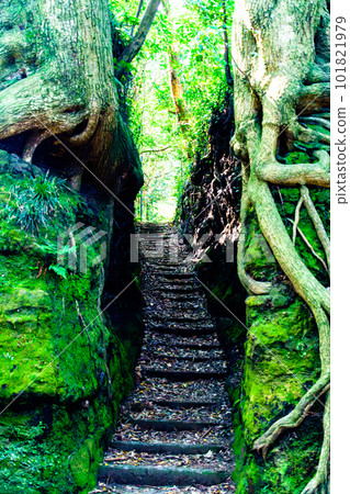 伊豆大島的千通十字路口[東京都大島町的觀光景點] 101821979