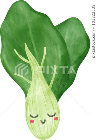 cute kawaii Watercolor fresh chinese bok choy vegetable vibrant color hand drawing cute kawaii Watercolor fresh chinese bok choy vegetable vibrant color hand drawing 101822535