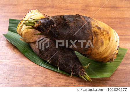 bambooshoot  101824377