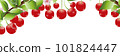 櫻花樹和櫻花橫幅材料 101824447