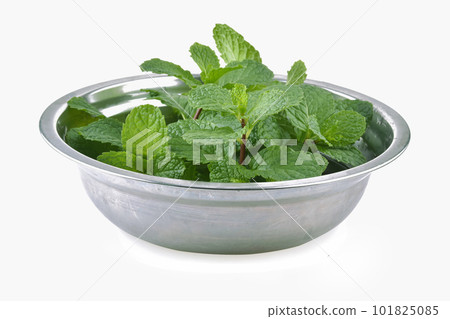 Mint leaves isolated on white background Mint leaves isolated on white background 101825085