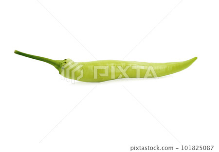 green chilli isolated on white background. 101825087