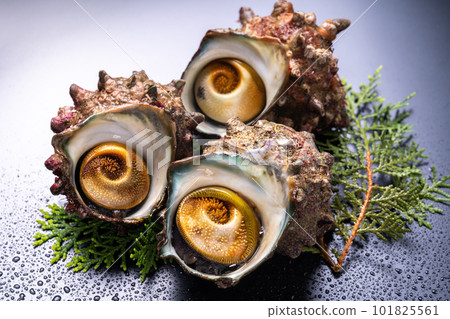 Living life Living life 101825561