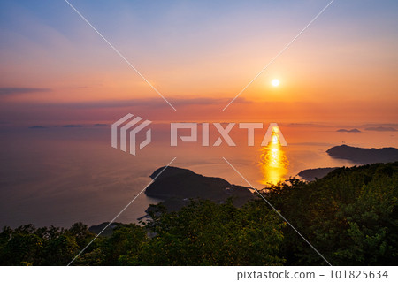 壽德山夜景 101825634