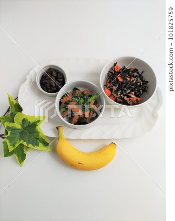 貧血的好食物 貧血的好食物 101825759