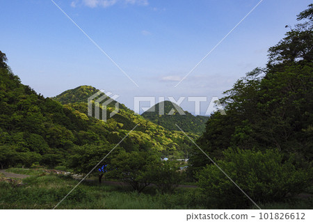 伊豆半島石部的梯田（春季） 101826612
