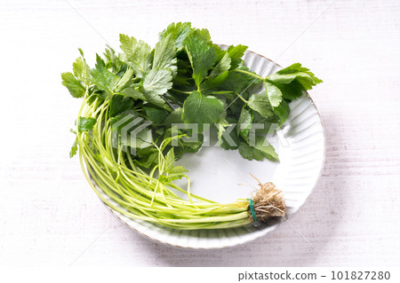 Three leaves 101827280