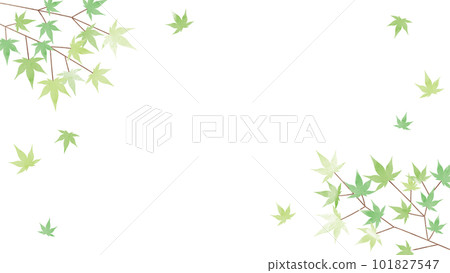 summer green autumn leaves background illustration 101827547