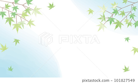 Summer green autumn leaves watercolor background illustration 101827549