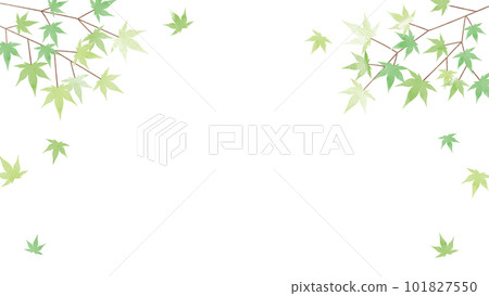 summer green autumn leaves background illustration 101827550