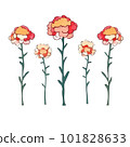 Carnation illustrations 101828633