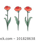 Carnation illustrations 101828638