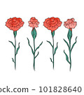 Carnation illustrations 101828640