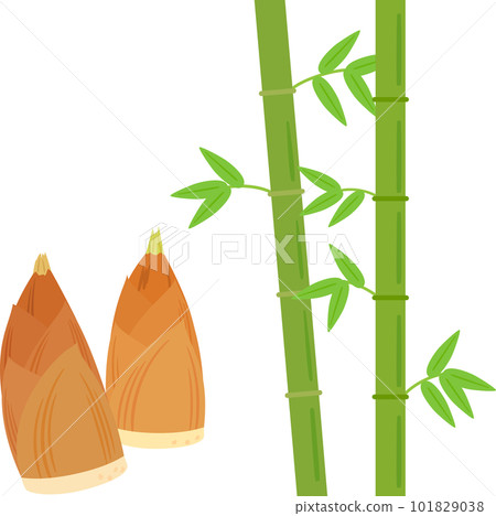 Bamboo and bamboo shoots 101829038