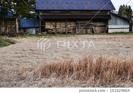 初春農民的穀倉 剛融雪的農民大穀倉 101829664