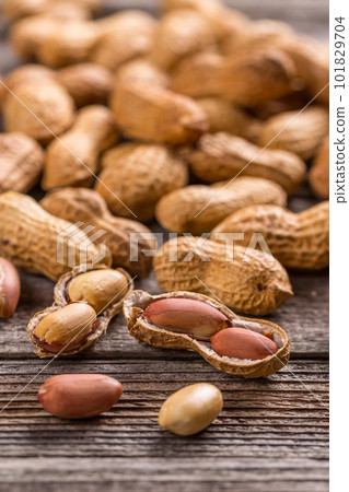 Peanut Peanut 101829704