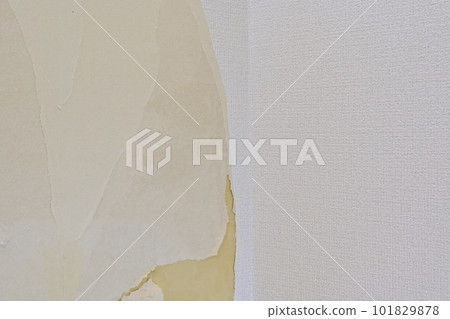 Interior work gypsum board Interior work gypsum board 101829878