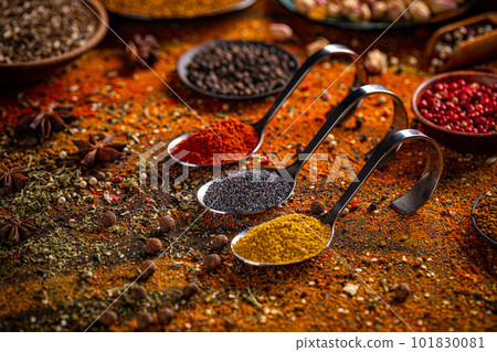 Various spices selection. 101830081