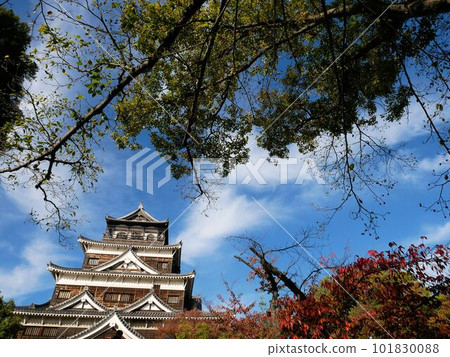 秋天的廣島城：清新的藍天和天守閣（廣島市） 101830088