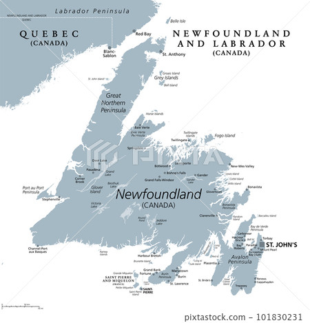 Island of Newfoundland, gray political map. Part of Canadian province of Newfoundland and Labrador with capital St. Johns. Island off the coast of mainland North America southwest of Labrador Sea. Island of Newfoundland, gray political map. Part of Canadian province of Newfoundland and Labrador with capital St. Johns. Island off the coast of mainland North America southwest of Labrador Sea. 101830231