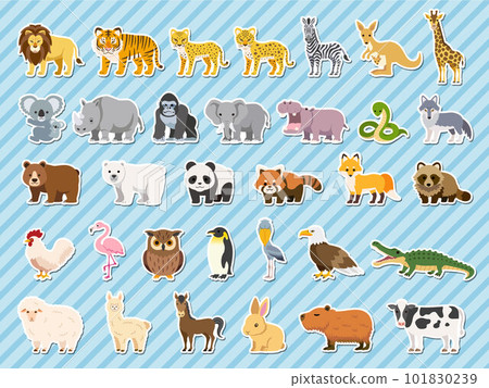 Illustration set of many cute animals No main lines White border Illustration set of many cute animals No main lines White border 101830239