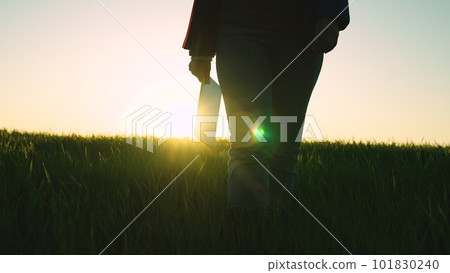 Agriculture. man working agriculture walks through field wheat with tablet hand. tablet hand. work field. agricultural business. green field wheat sunset. tablet sunset. Silhouette boots tablet wheat Agriculture. man working agriculture walks through field wheat with tablet hand. tablet hand. work field. agricultural business. green field wheat sunset. tablet sunset. Silhouette boots tablet wheat 101830240