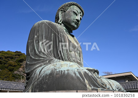 Great Buddha Kamakura Buddha statue Great Buddha Kamakura Buddha statue 101830258