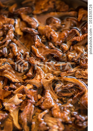 Dried mushrooms Dried mushrooms 101830726