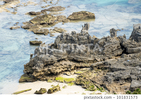 沖繩浦丘展望台渡嘉敷島的自然風光 沖繩浦丘展望台渡嘉敷島的自然風光 101831573
