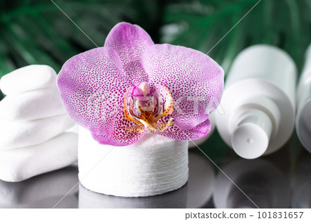 Lilac orchid flower, white cosmetic bottles, cotton pads with stack of white stones and monstera leaves on black surface 101831657