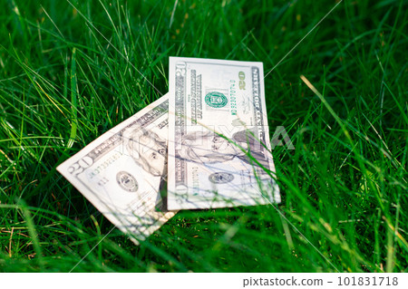 Two 20 US dollar bills lie on a background of green grass. Money lying on the ground. 101831718